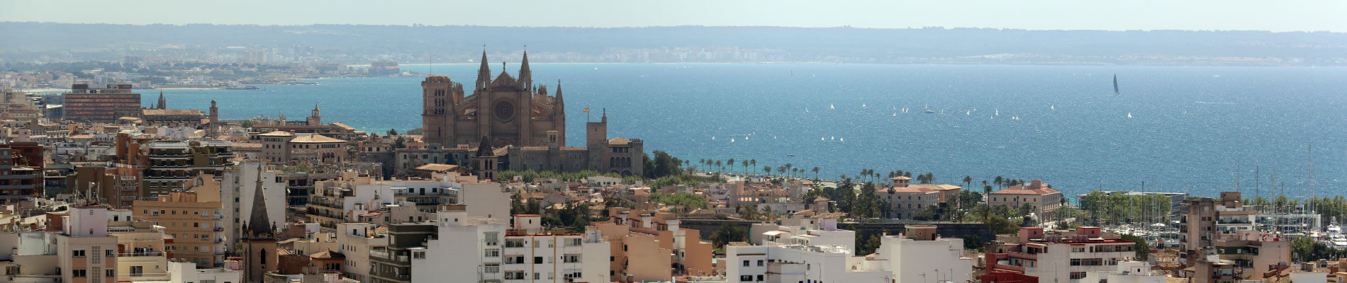 catedral de palma de mallorca